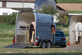 Bumper-towed or European style horsebox