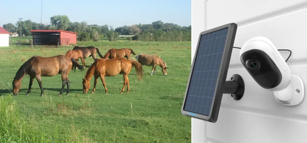 How To Choose The Right Cctv For Your Stables Horse Factbook