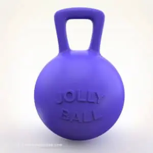 Horse Jolly Ball - Horse Boredom Prevention Toy - © www.horsefactbook.com