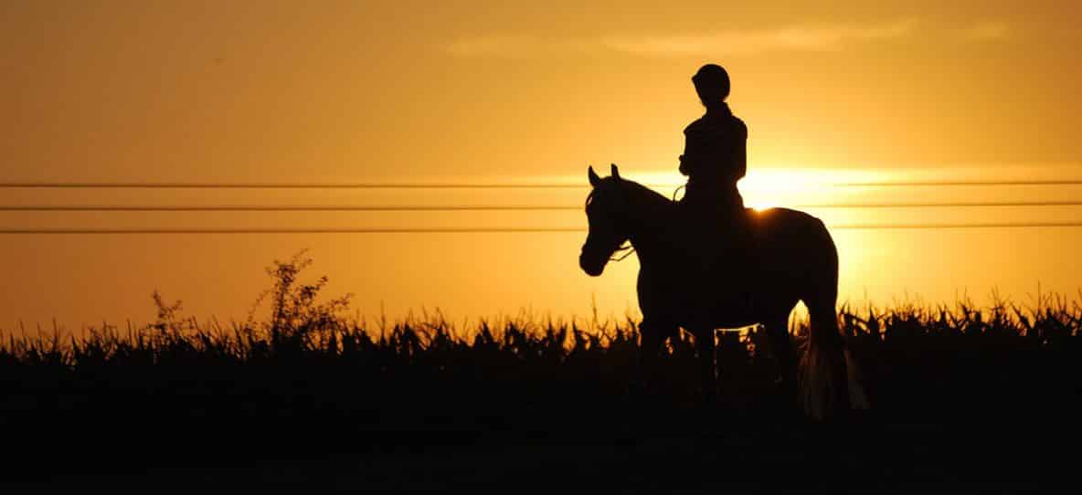 How To Stay Safe While Horse Riding At Night Horse FactBook