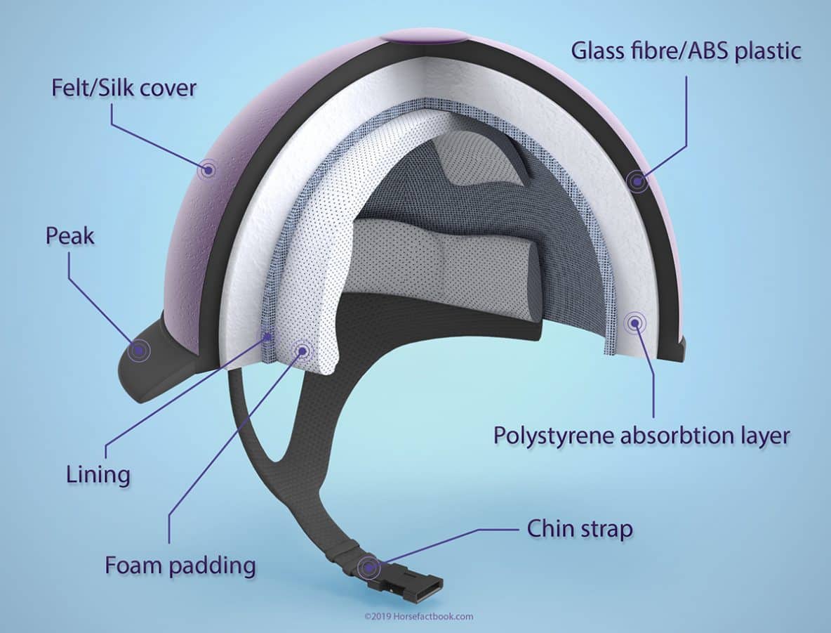 Importance Of Wearing A Helmet While Riding A Horse Horse FactBook