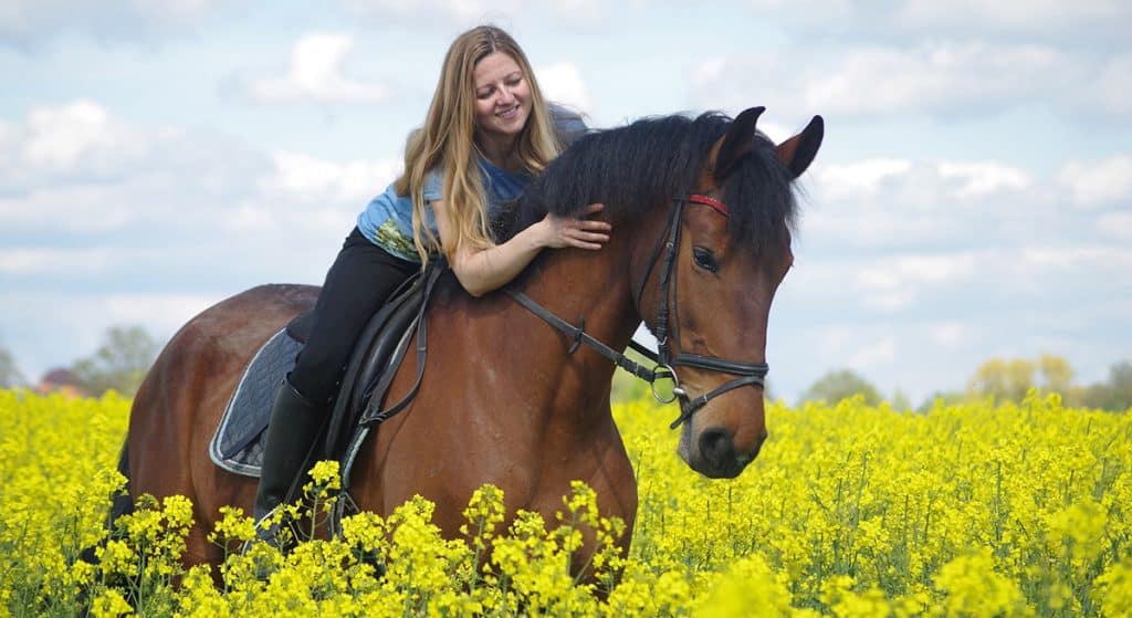 Horse Riding With Back Pain The Pros & Cons Horse FactBook