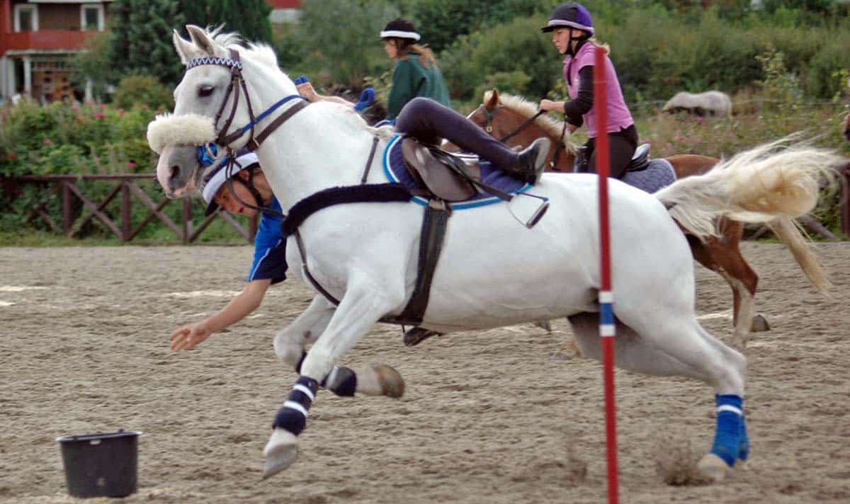 Pony Camp Packing List Horse Factbook