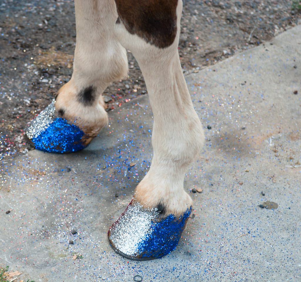 Pony Camp Packing List Horse Factbook