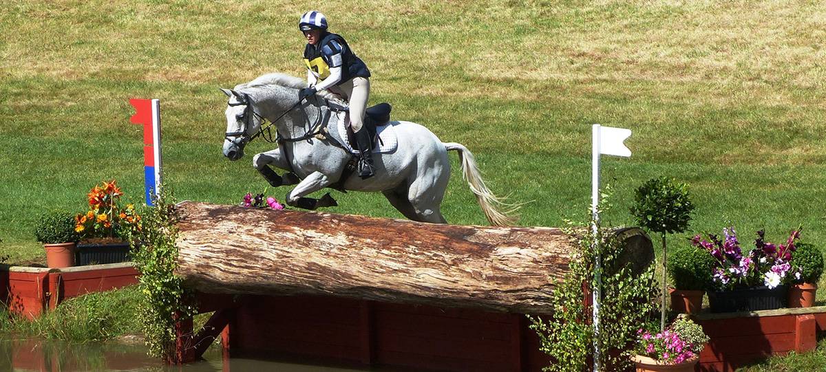 Best Breeds For Eventing, At All Levels Horse FactBook