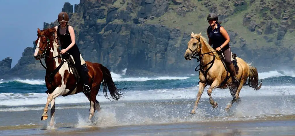 What's the difference between Western & English Riding?