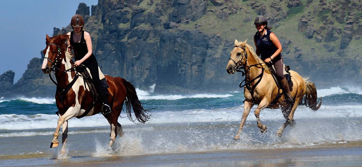 What’s The Difference Between Western and English riding? Horse FactBook