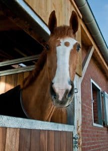 Some people prefer to keep their horse in over night