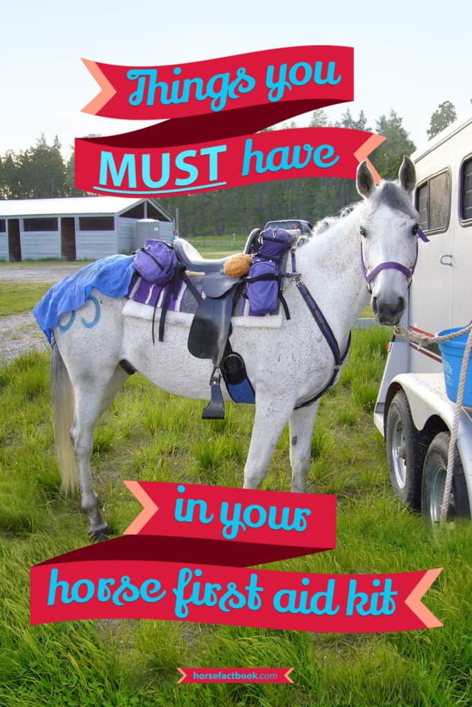 The Essentials Your Horse’s First Aid Kit MUST Have – Horse FactBook