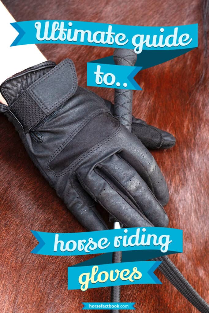 The Ultimate Guide To Horse Riding Gloves Horse FactBook