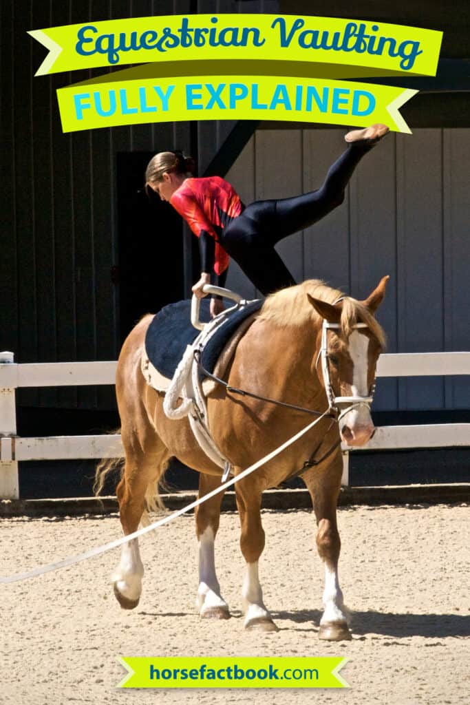 Gymnastics On Horseback A Guide To Equestrian Vaulting Horse FactBook