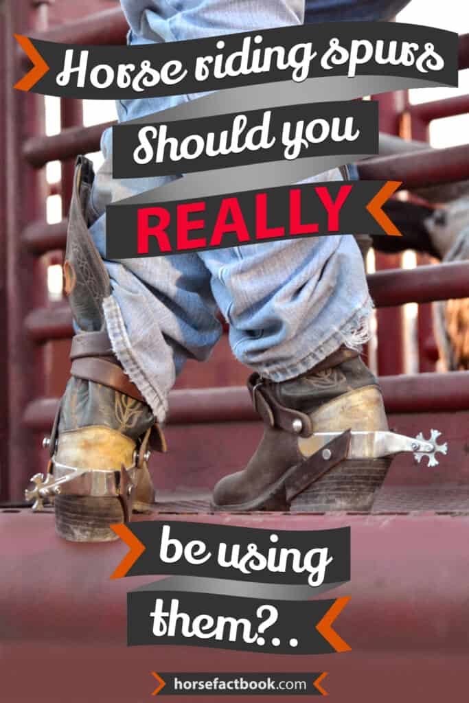 Horse Riding Spurs Should You Really Be Using Them? Horse FactBook
