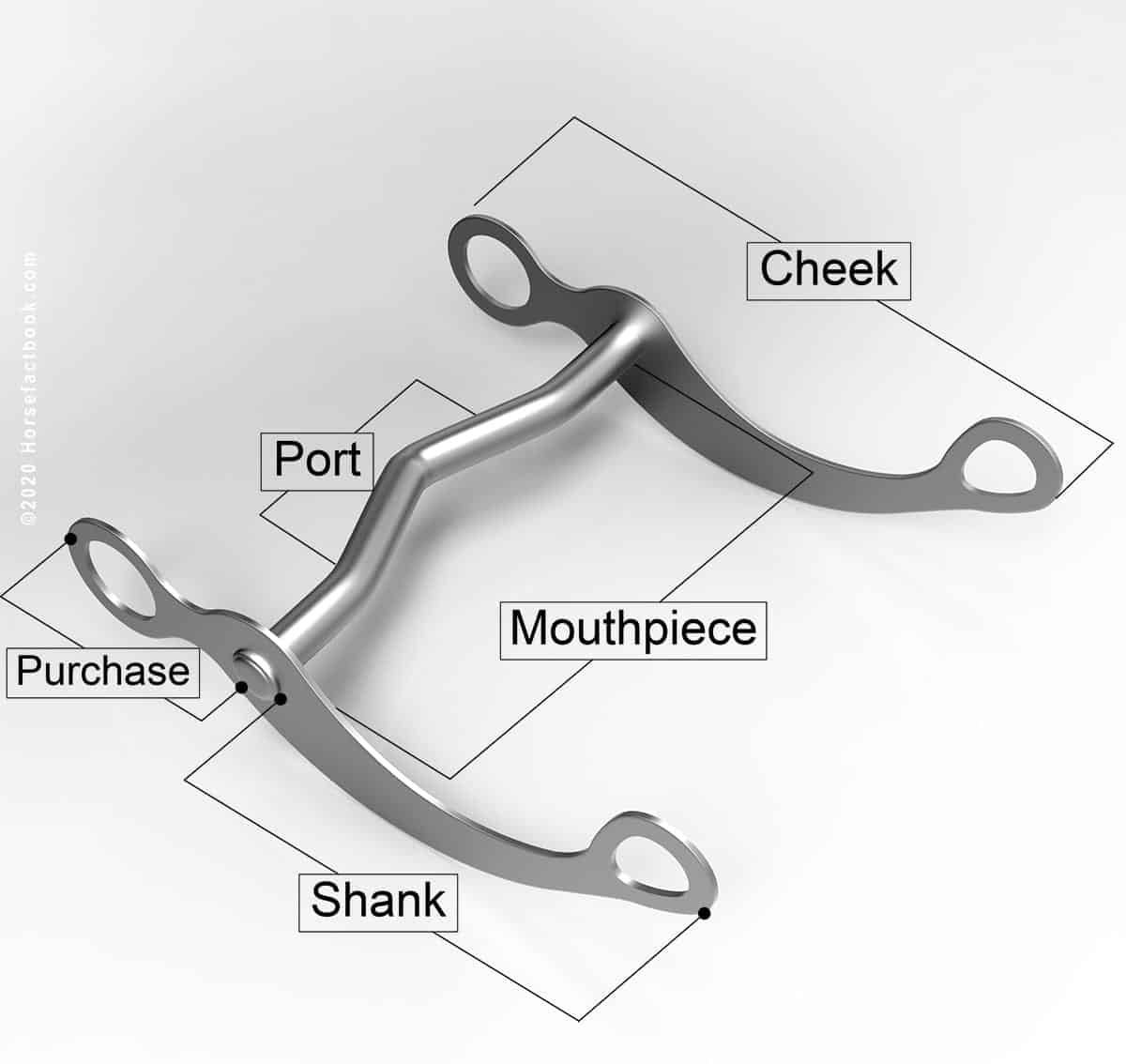 Horse Bits Explained All You Need To Know About Bits & Mouthpieces