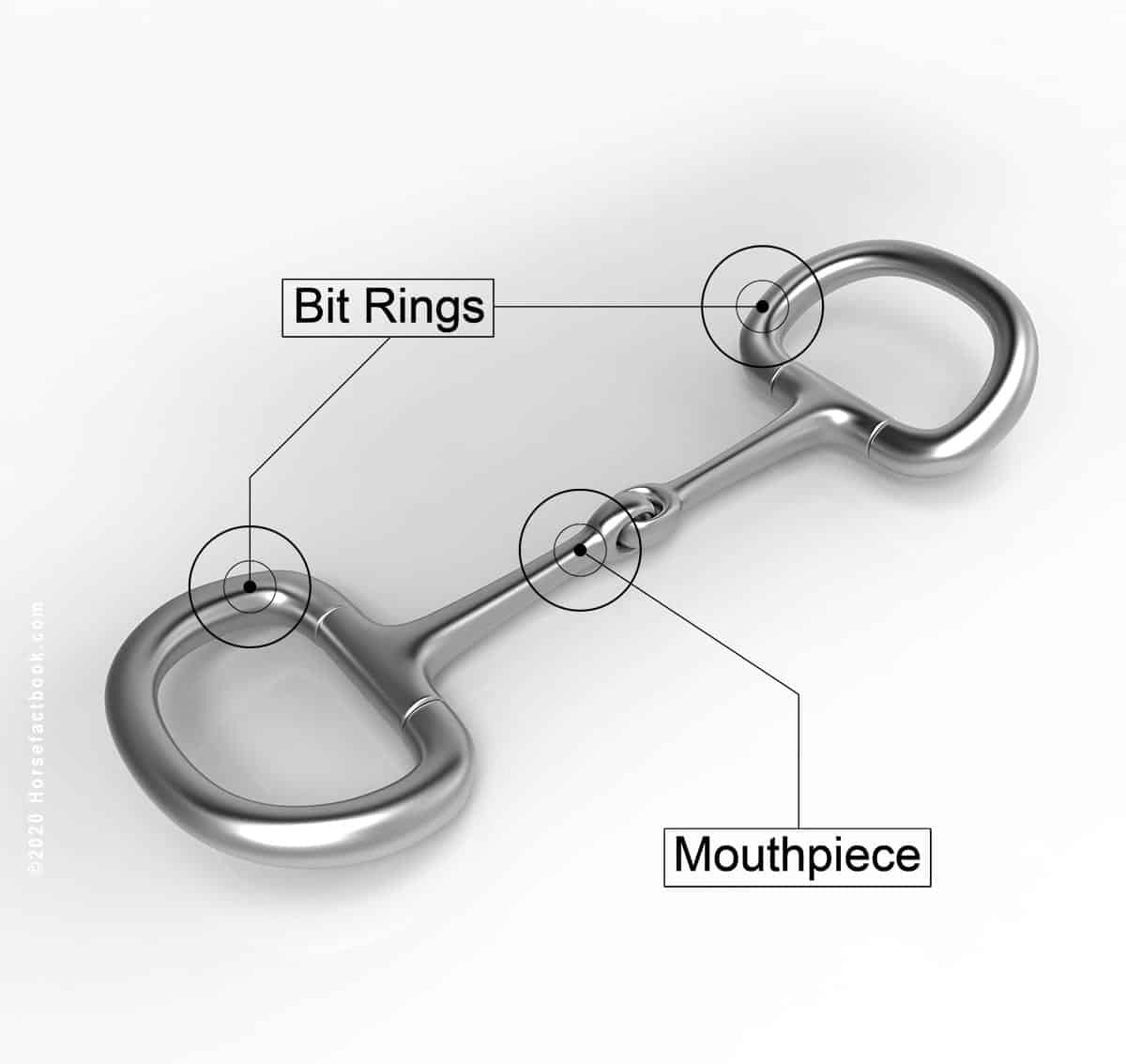 Horse Bits Explained All You Need To Know About Bits & Mouthpieces