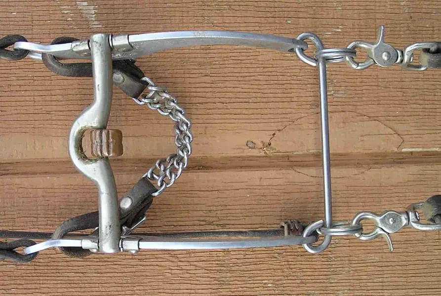 A ‘cricket’ roller on a medium port mouthpiece