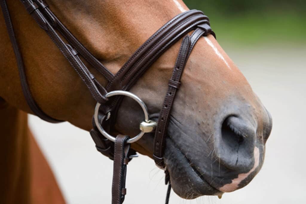New Style in Two Sizes!!! Decorative Fancy Horse Mouth Driving Bit Mouthpiece 