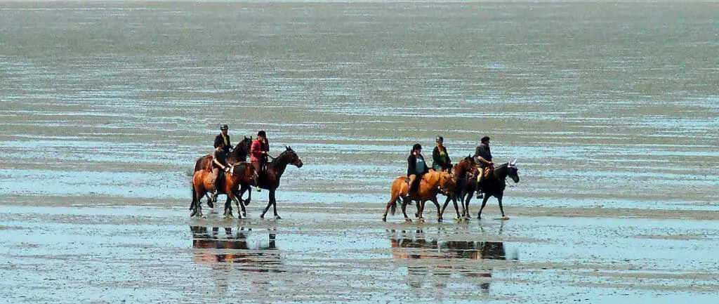 If you're going to ride in the open ocean check the tides before you head out