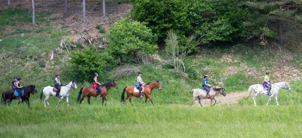 白内障で馬に乗る