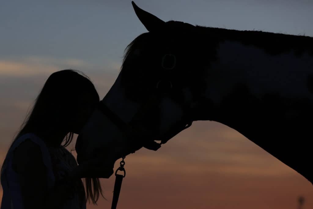 How Do Horses Show Affection? 4 Ways Horses Tell You They Love You