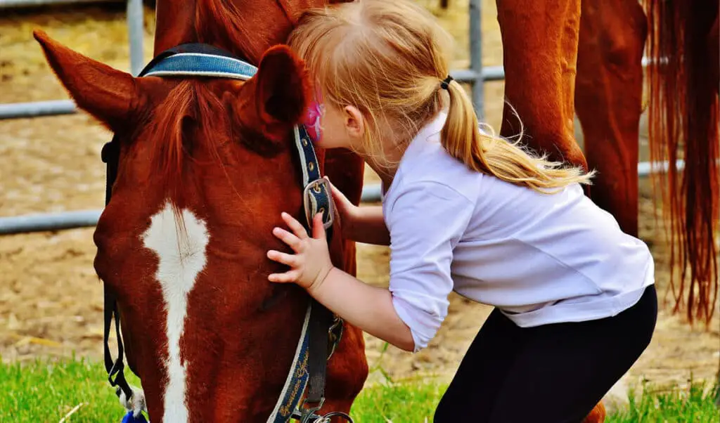 The 12 best horse and pony breeds for kids