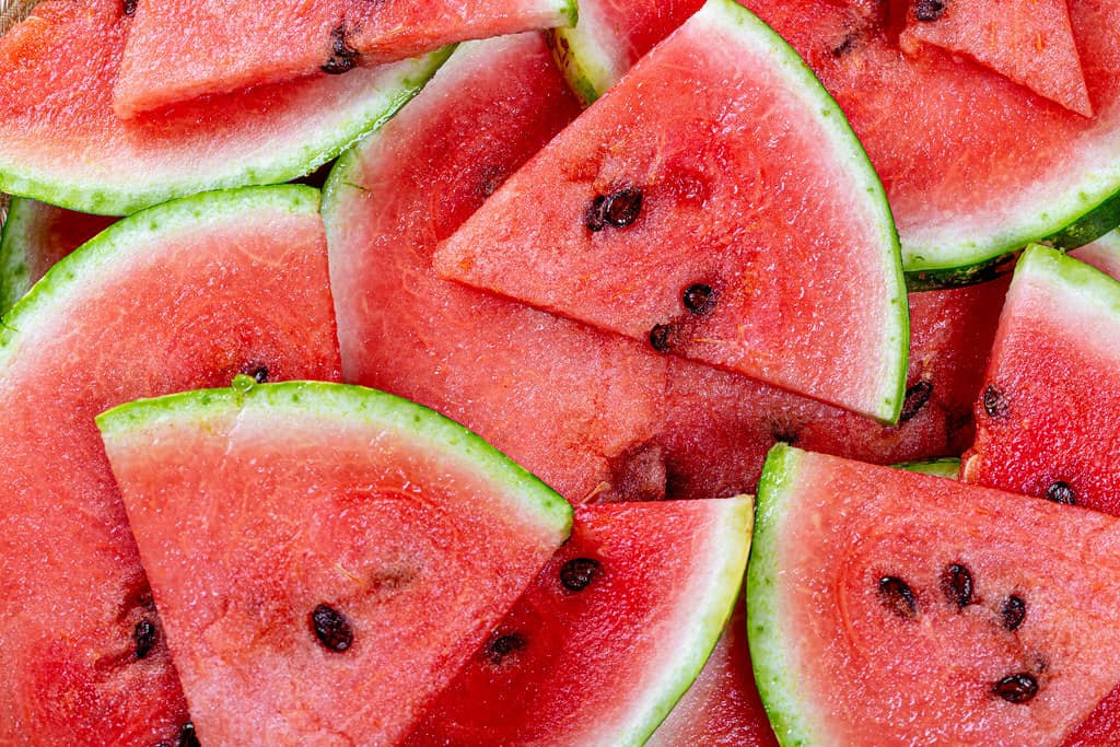 Can Horses Eat Watermelon? Horse FactBook