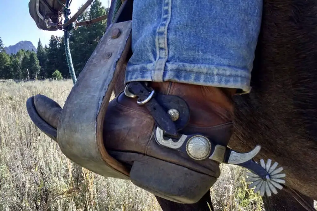Horse Riding Spurs Should You Really Be Using Them? Horse FactBook