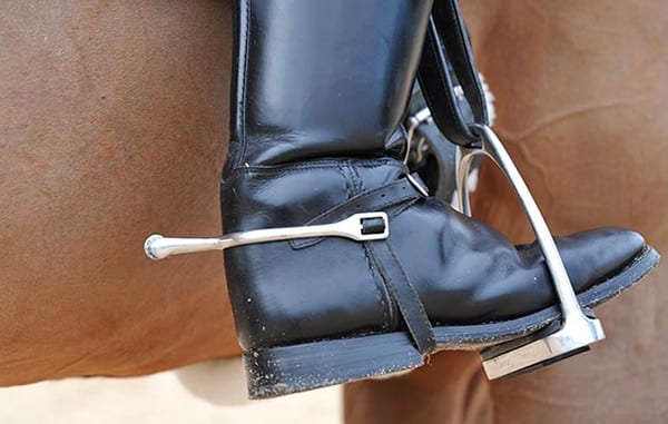 Horse Riding Spurs: Should You Really Be Using Them? – Horse FactBook