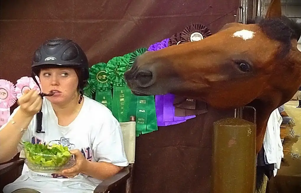 Feed treats sensibly, don't let your horse expect them