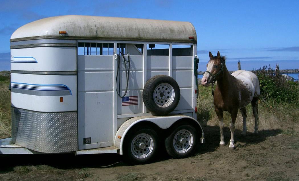 4 Training Methods To Help You Successfully Load A Difficult Horse