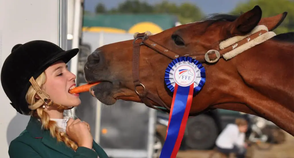 Make sure you always feed treats to your horse safely