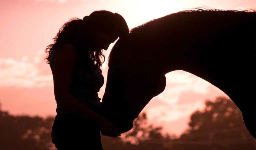 10 ways to bind with your horse that really work and don't involve riding