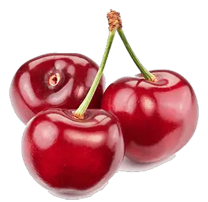 As long as you remove the pips horses can eat cherries