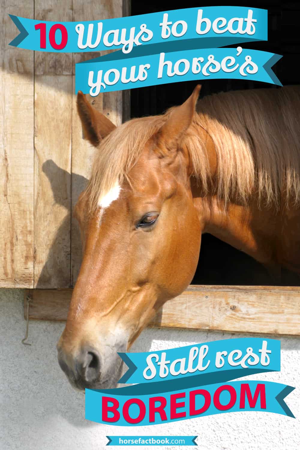 HorseFactbook Stall Rest Horse FactBook
