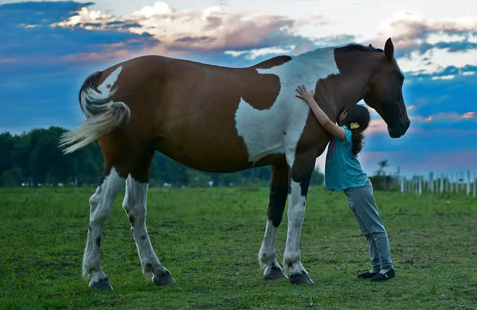Make sure your horse is the right size for you