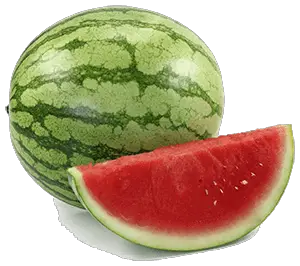 Watermelons are perfect for horses, they're full of refreshing water and have enough sweetness to appease your horse's sweet tooth