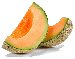 Watermelons are especially good for horses, but all melons make healthy treats