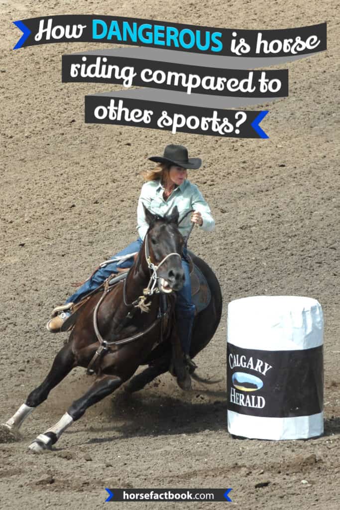 Is Horse Riding Really That Dangerous? And What Can You Do To Reduce