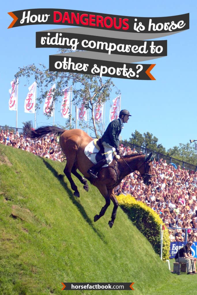 Is Horse Riding Really That Dangerous? And What Can You Do To Reduce