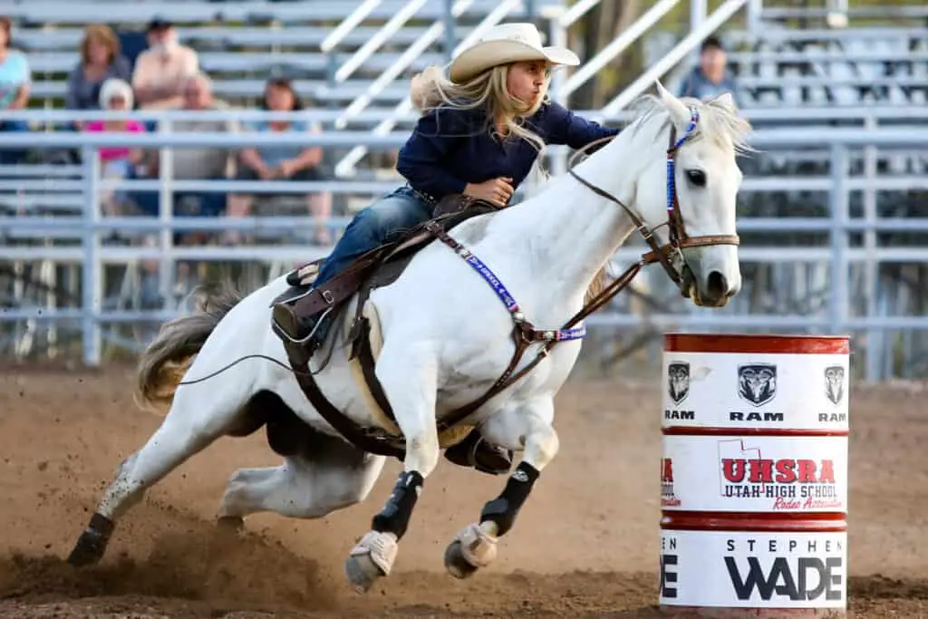 The 14 Most Popular Western Riding Disciplines Explained (with videos