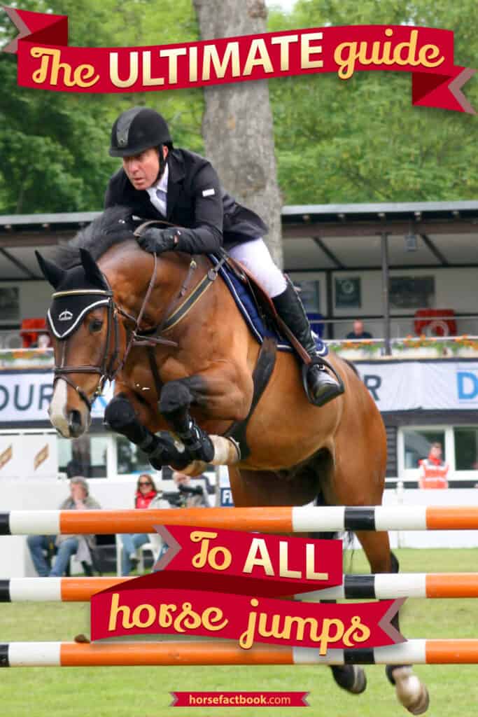 A Visual Guide To 35 Different Horse Jumps By Discipline Horse FactBook