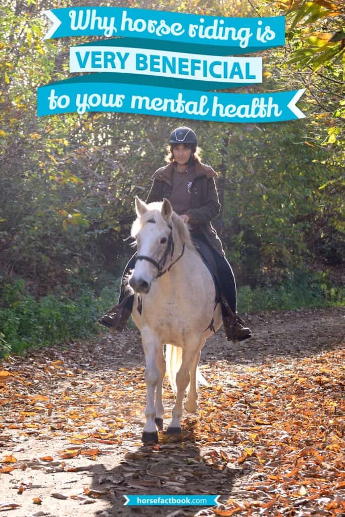 Why Horse Riding Is So Beneficial To Your Mental Health Horse FactBook