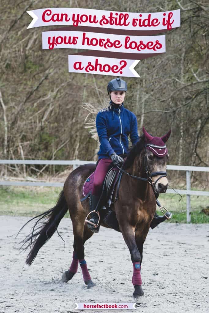 Hold Your Horses Dealing With A Missing Shoe While Riding Horse FactBook