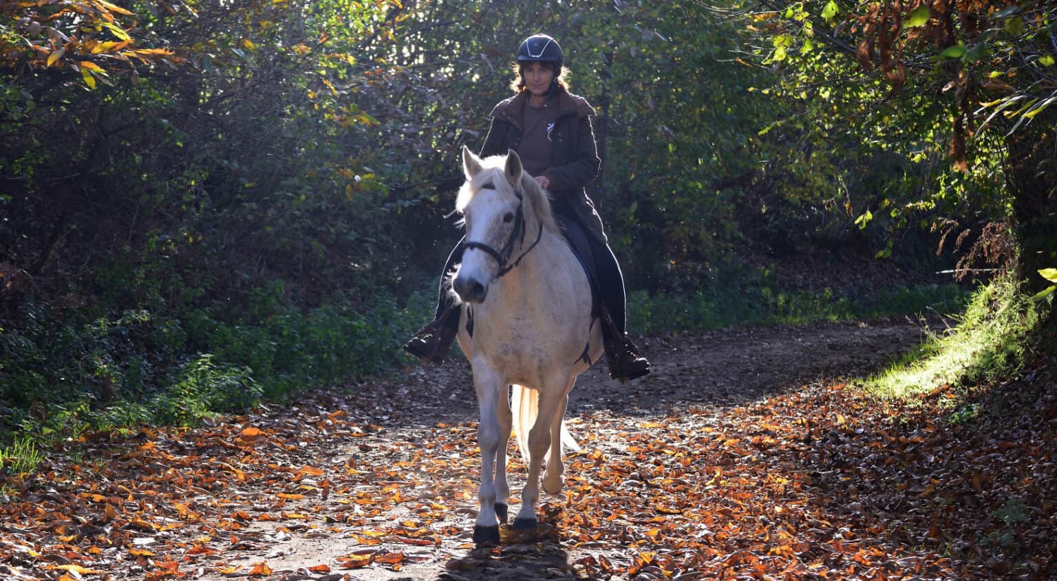 Why Horse Riding Is So Beneficial To Your Mental Health Horse FactBook
