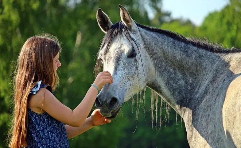 It can be very difficult for children when they outgrow their horse