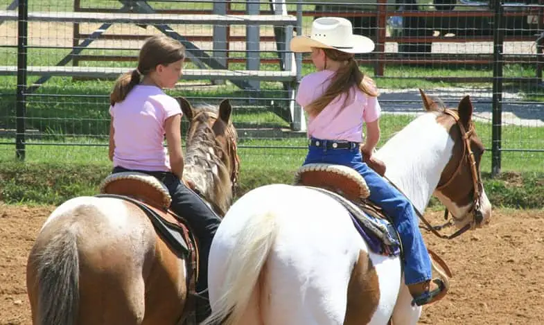 Owning a horse can be a great way of making new friends