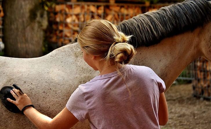 There's a lot of work involved in caring for a horse