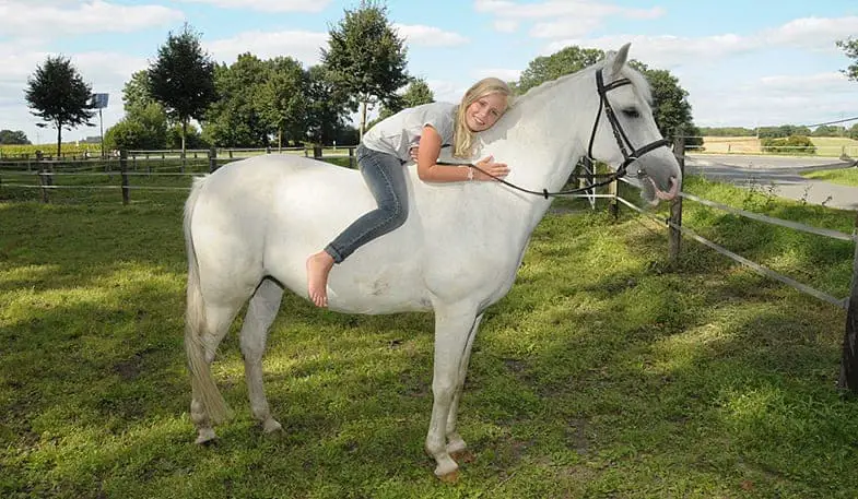 There are advantages and disadvantages of buying a horse for your child