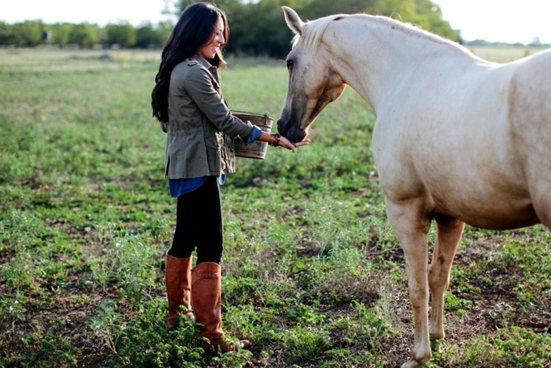 How To Successfully Catch A Difficult Horse EVERY TIME Horse FactBook