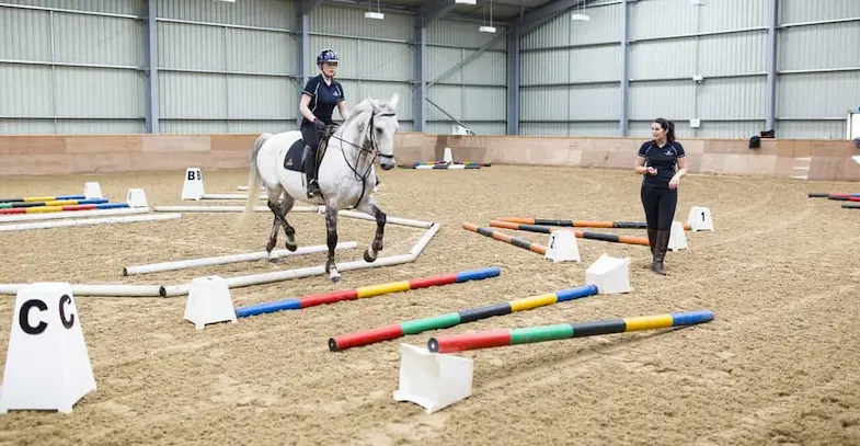 Regular exercise will keep your horse occupied and stimulated