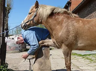A farrier is a highly skilled job